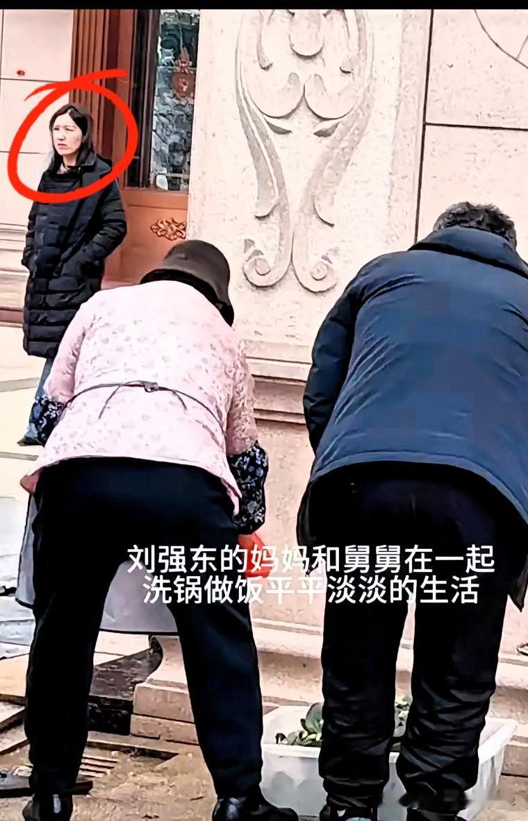 看着刘强东这一大家子，有时候真让人恍惚，这哪像是身家百亿的豪门啊？前两天看到