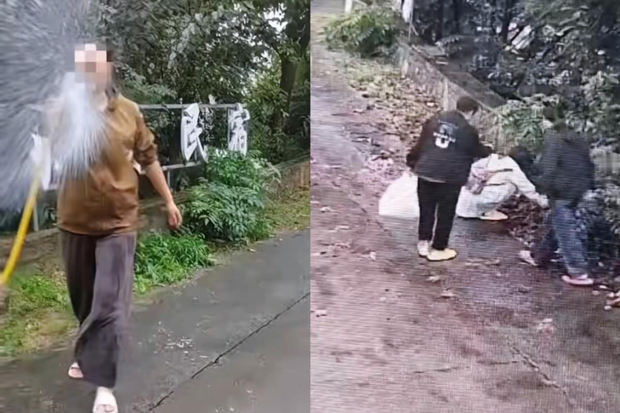 家人们快看懵了！花果山民宿老板那篇回应，简直是越描越黑的典范。说游客偷自家