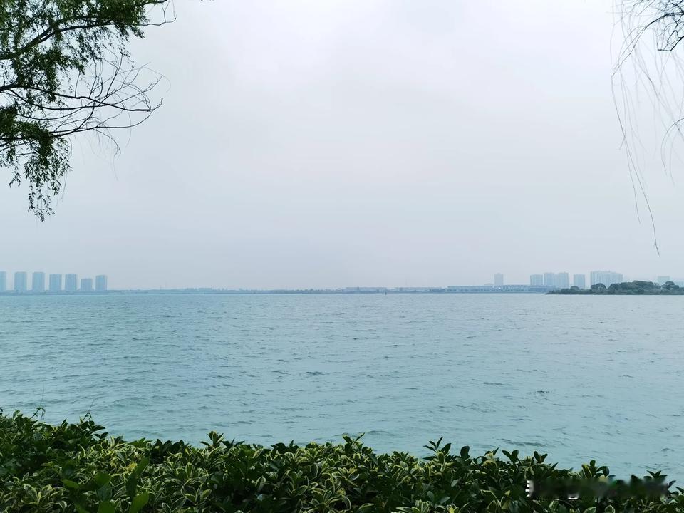 真是塞翁失马，焉知非福。胖东来被柴怼怼说成，在玉石经营方面赚取暴利，当地市监