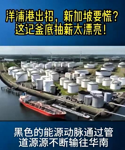 你知道吗？拿捏新加坡，其实一句话就够了——把它赖以生存的“港口优势”拿掉。​马
