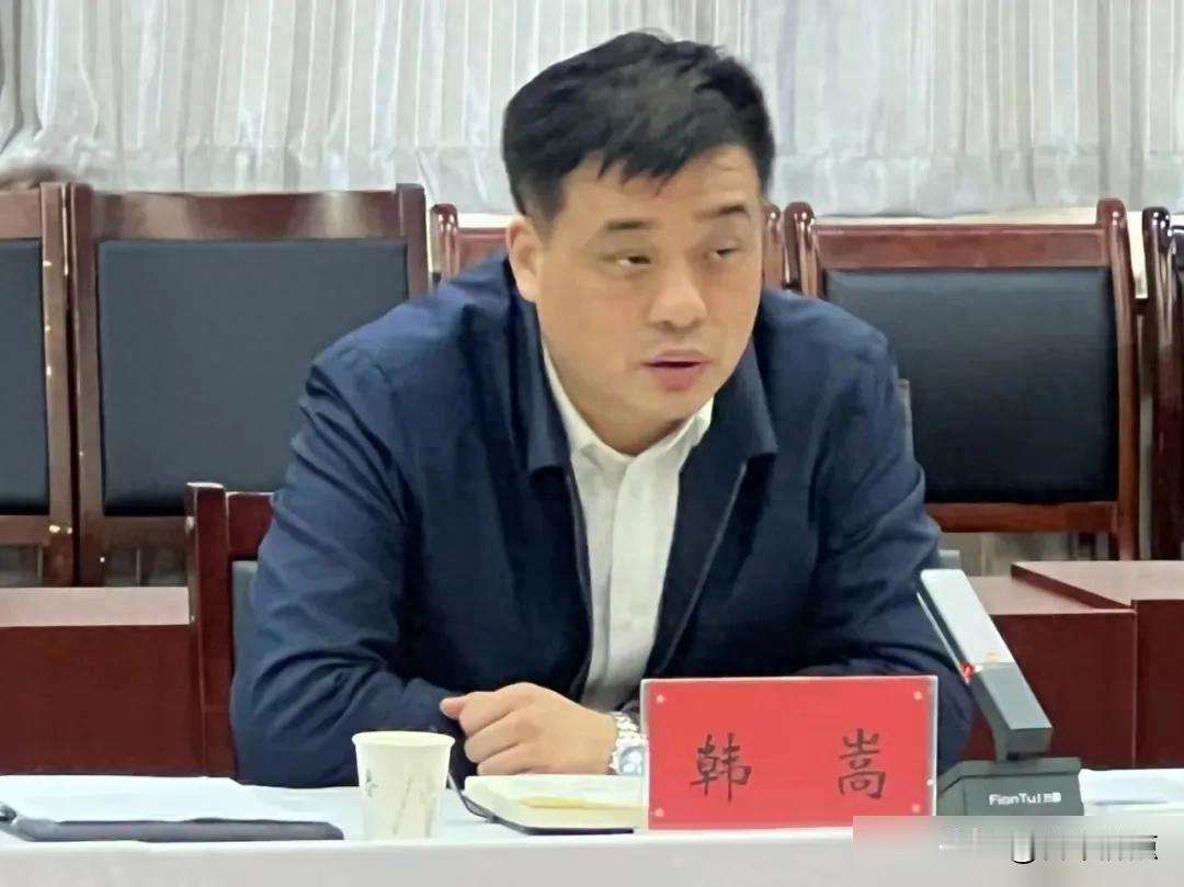 突击提拔后，他为何主动投案？韩嵩的履历，在很长一段时间里，都是“别人家的孩子”