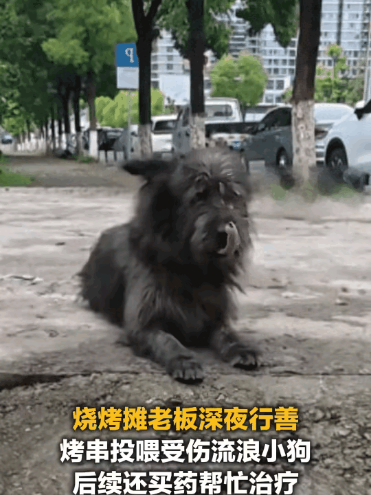 重庆一个烧烤摊老板，遇到一只眼睛受伤的流浪狗，他拿当天卖剩的肉，第二天不能再卖的