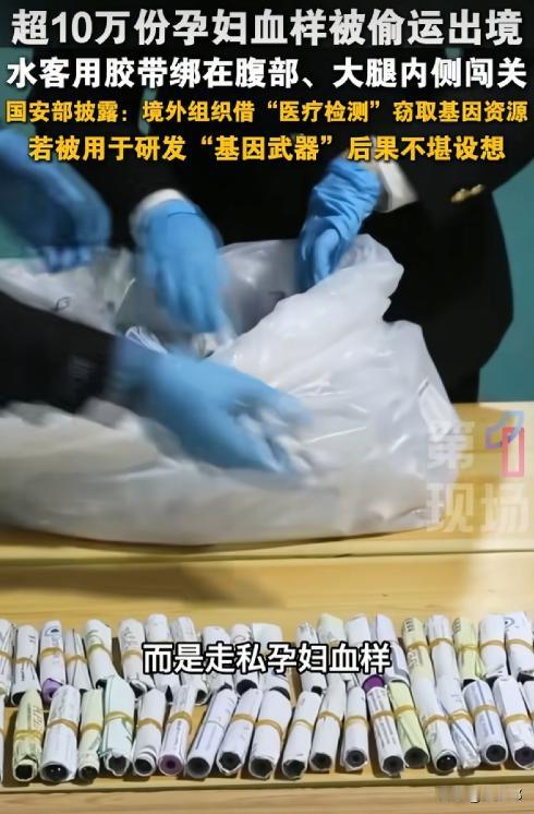 “细思极恐!”广州，水客花式夹带走私：把孕妇血样贴身绑在腹部、大腿，或藏进拉杆