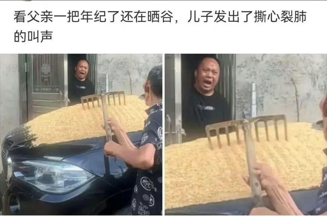 看父亲一把年纪了还在晒谷，儿子发出了撕心裂肺的叫声
