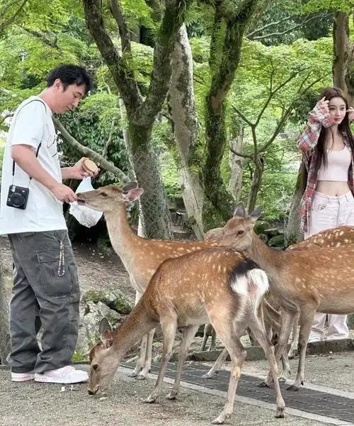 为什么王思聪宁愿在日本喂小动物，也不回来帮他父亲管理万达呢？三个字：不喜欢。要知