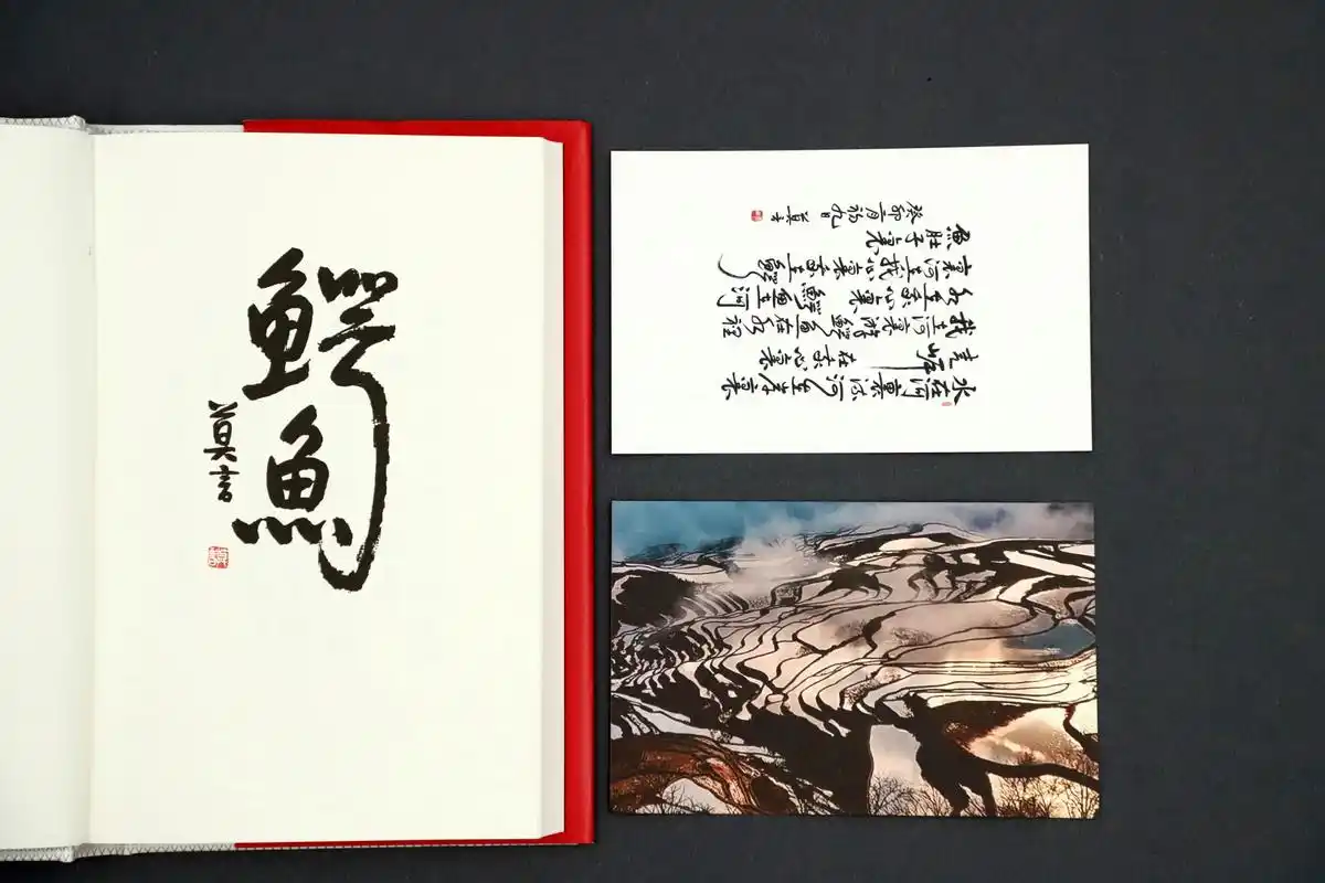 莫言《鳄鱼》海外狂销！‘贪官养鳄’隐喻人性深渊，获诺奖后最大胆笔锋✨