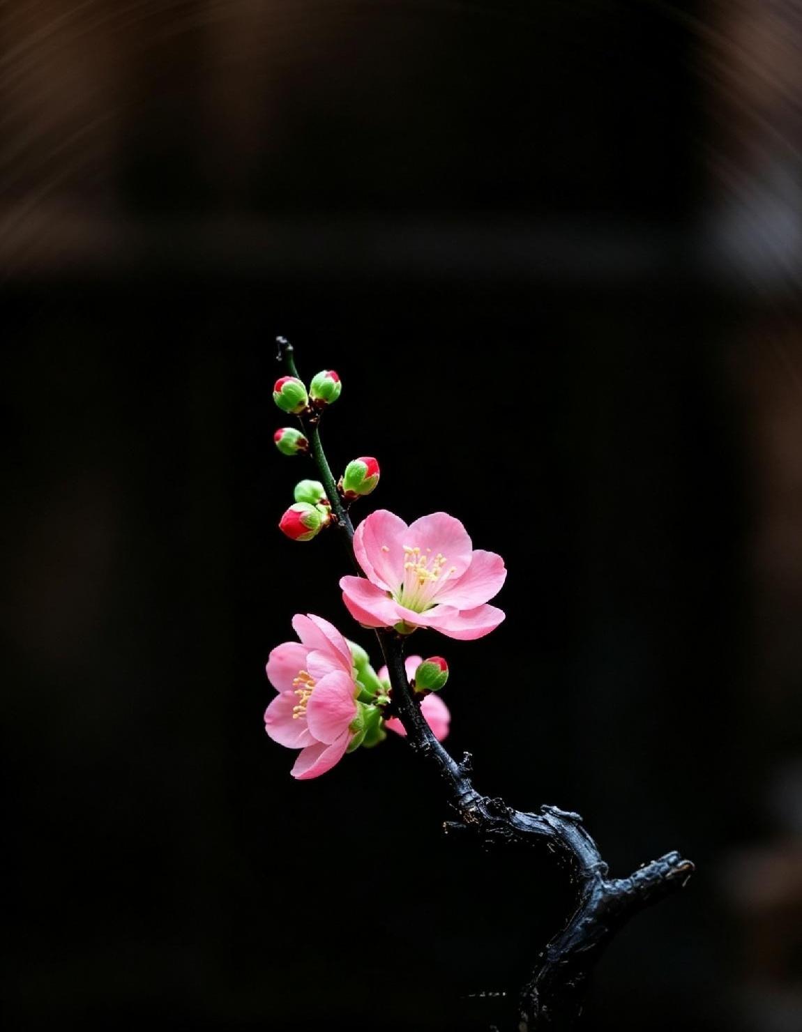 退休后要是手里有7000退休金、80万存款，没房贷车贷，身体还硬朗，子女工作稳、