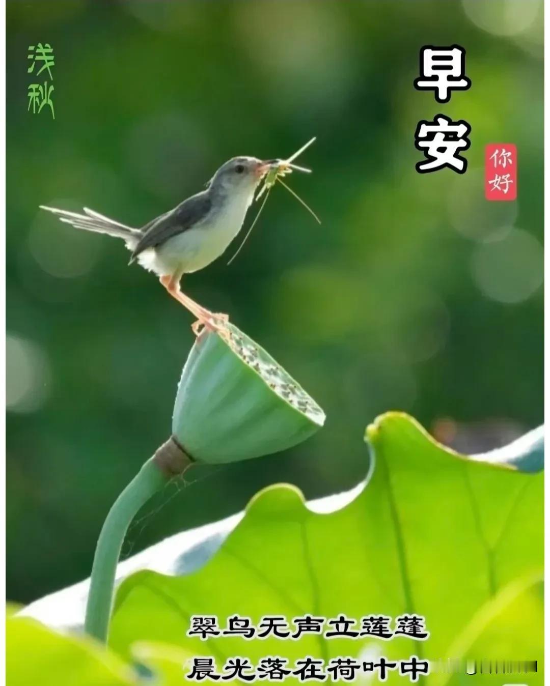 时光不会辜负每一份坚持，稳住心态，慢慢耕耘，愿今天事事顺心，身心舒展。