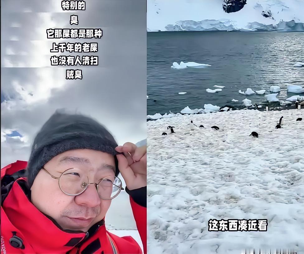 万万没想到……李诞花20万去了趟南极，竟然直接把南极扒了个精光，纯纯受罪，智