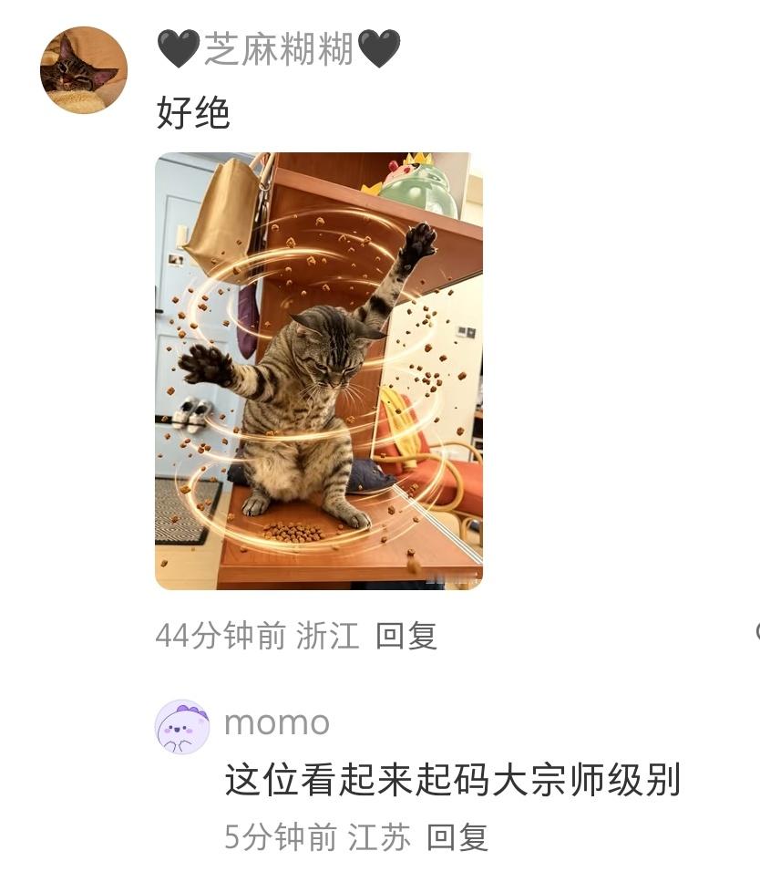 神功小猫说早安