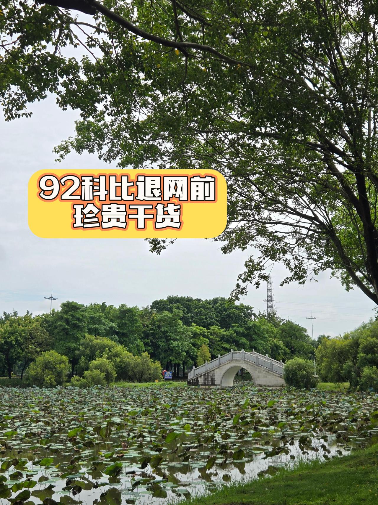 92科比游资