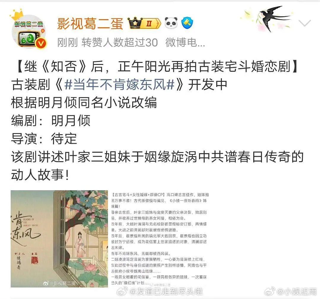 正午宅斗饼女主杨紫