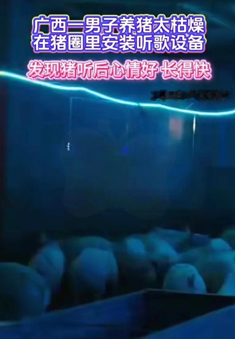 广西桂林这事儿是真稀奇，长这么大还是第一次听说有个大哥嫌养