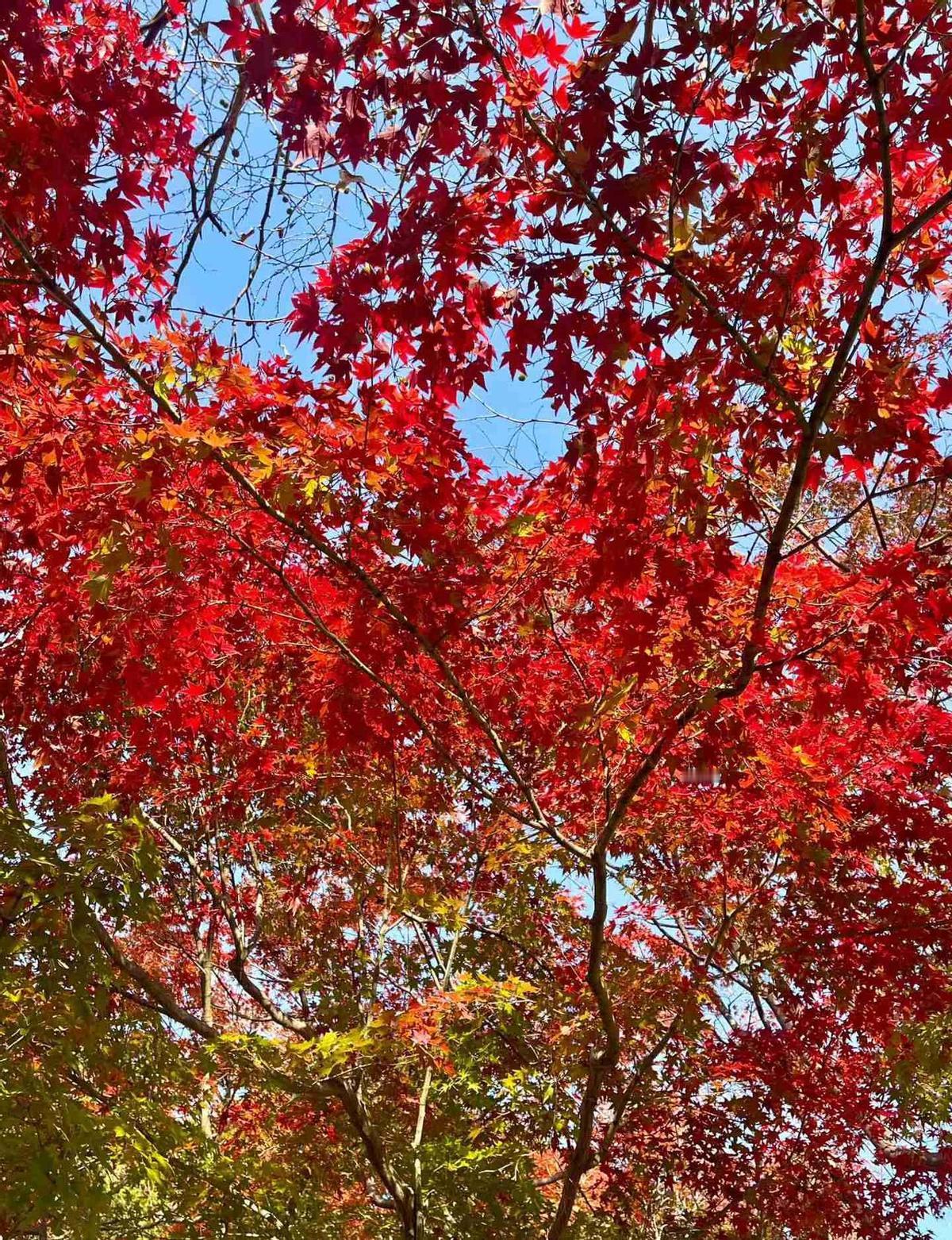 退休前冲个副高，真能多领两三千块养老金？别小看这事儿，不少单位都给机会。55