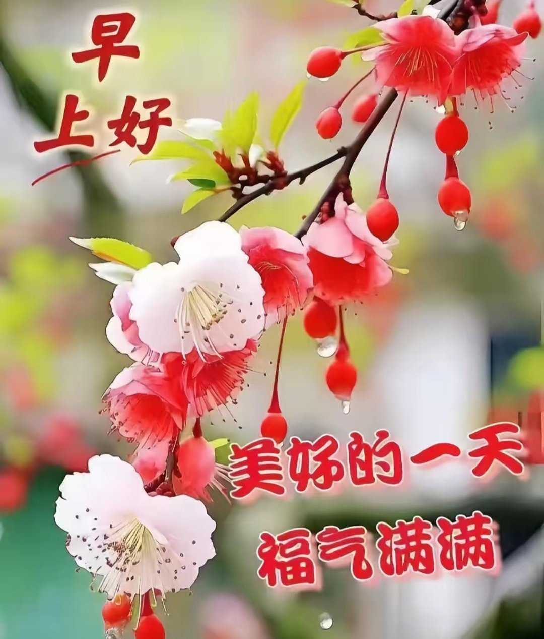 朋友们早上好！别把希望寄托在明天，过好每一个今天，明天才会更有价值！好运气从清