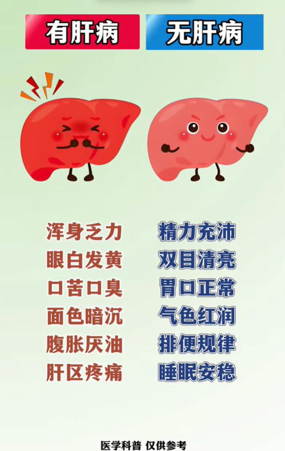 肝脏好坏对比，6种表现自查肝脏状态
