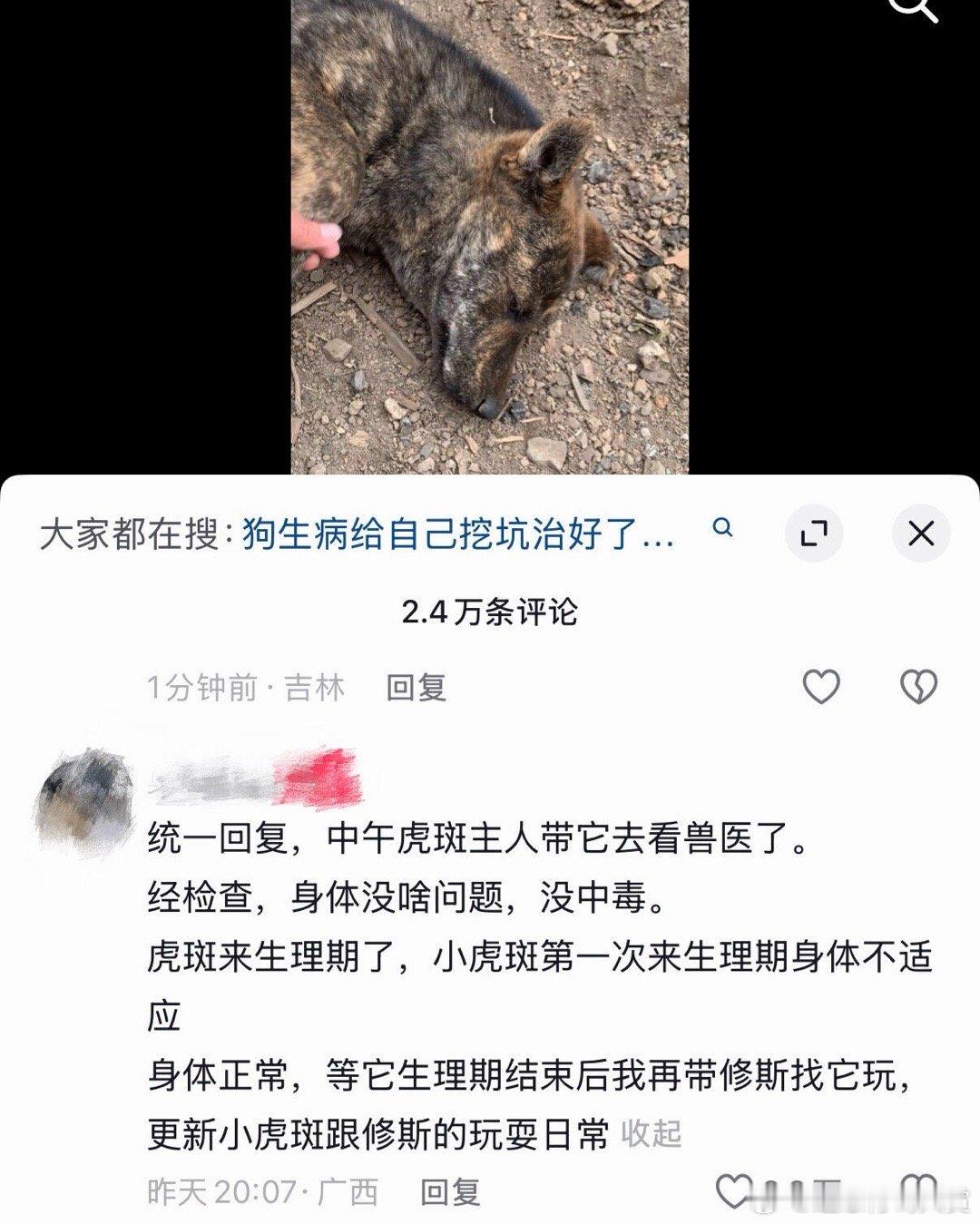 狗狗给自己挖了坑，还以为是要死了…