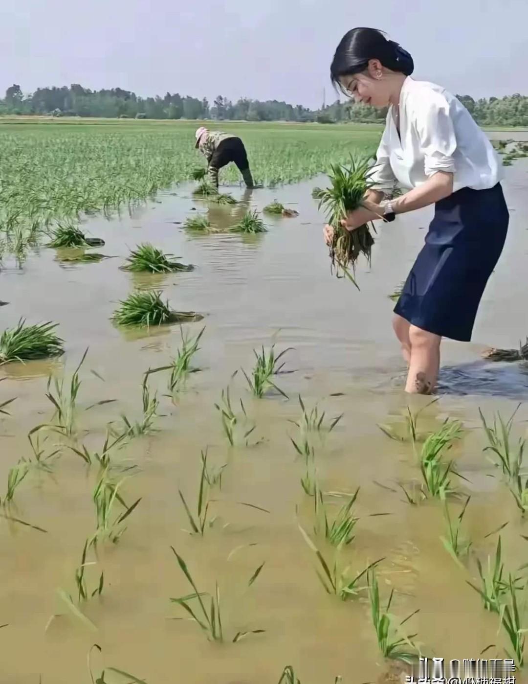 农村人种地不干别的活能富裕吗?农村人靠种田，种菜，完全不能富裕，只能填饱肚