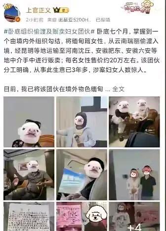 这个境外组织专门贩卖人口！他们从缅甸将年轻的女性贩卖到中国，一个女孩子卖二十万
