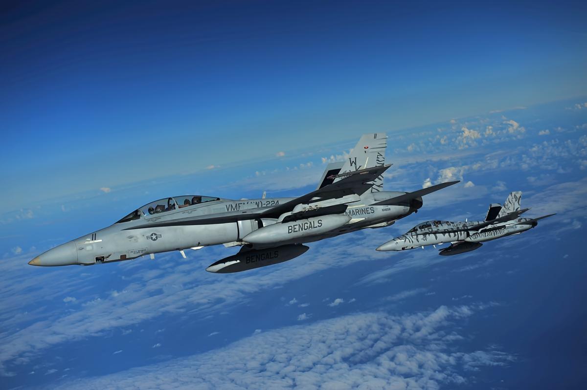 每天认识一件兵器F/A-18“大黄蜂”战斗/攻击机F/A-18“大黄蜂”（Ho