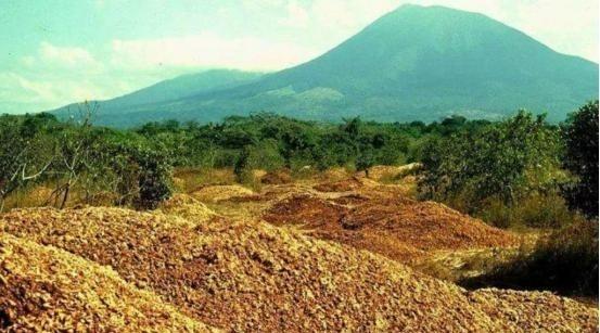 1997年，1.2万吨橘子皮被丢进了自然保护区，当地法院以“污染环境”为由，勒令