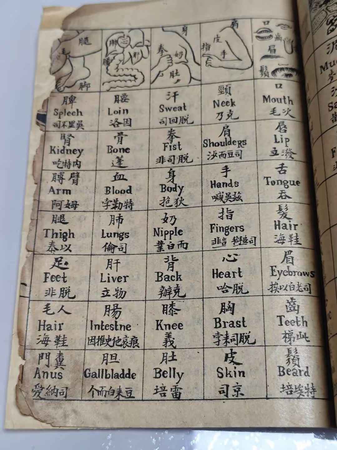 清朝原来是这样学英语的......