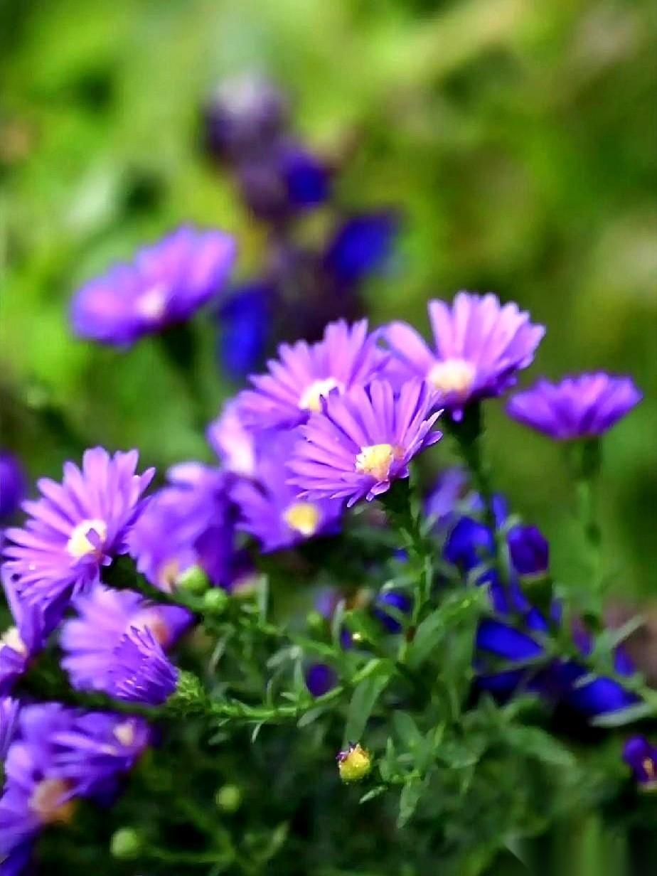 我55岁，熬过半死不活的更年期，终于发现了一个天大的秘密。那些后半辈子身体倍儿