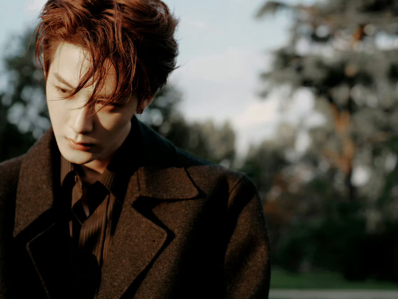 ELLE红毯名探感觉今年ELLE红毯上男明星的表现要好于上一届，到目前为止我个