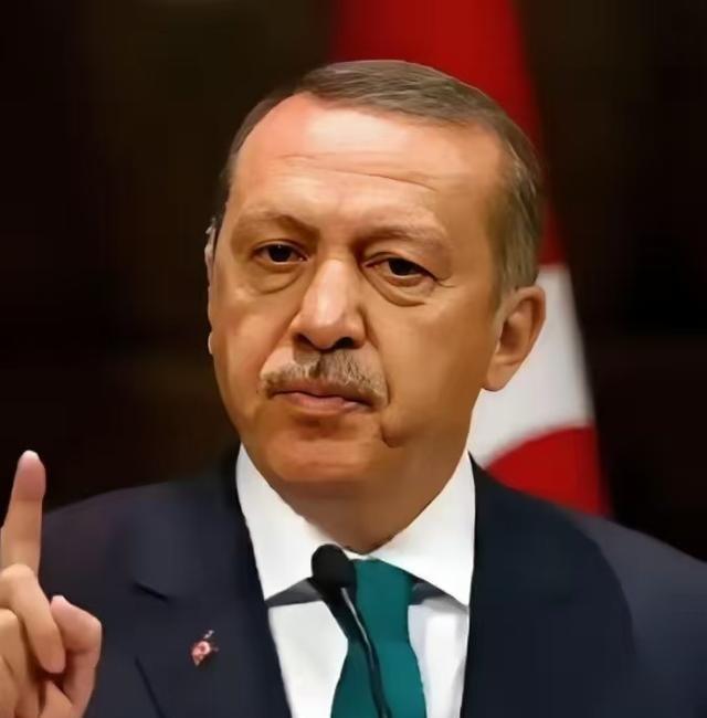 中国和土耳其谈话了！3月25日，土耳其终于等不了了，一通电话打到了中国，土耳其外