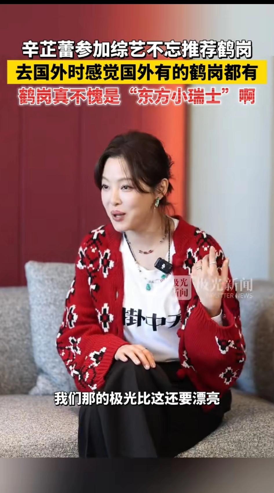 辛芷蕾参加综艺不忘介绍鹤岗，去国外的时候感觉国外有的鹤岗都有。去冰岛看极光，想起