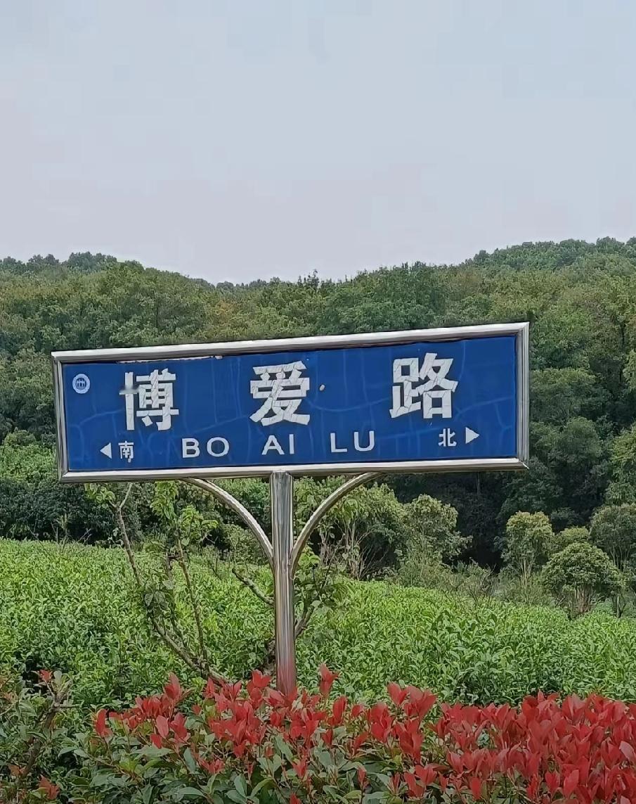 就是天意，老天给力。得知中国台湾国民党主席郑丽文，4月8号访问南京，南京阴有中