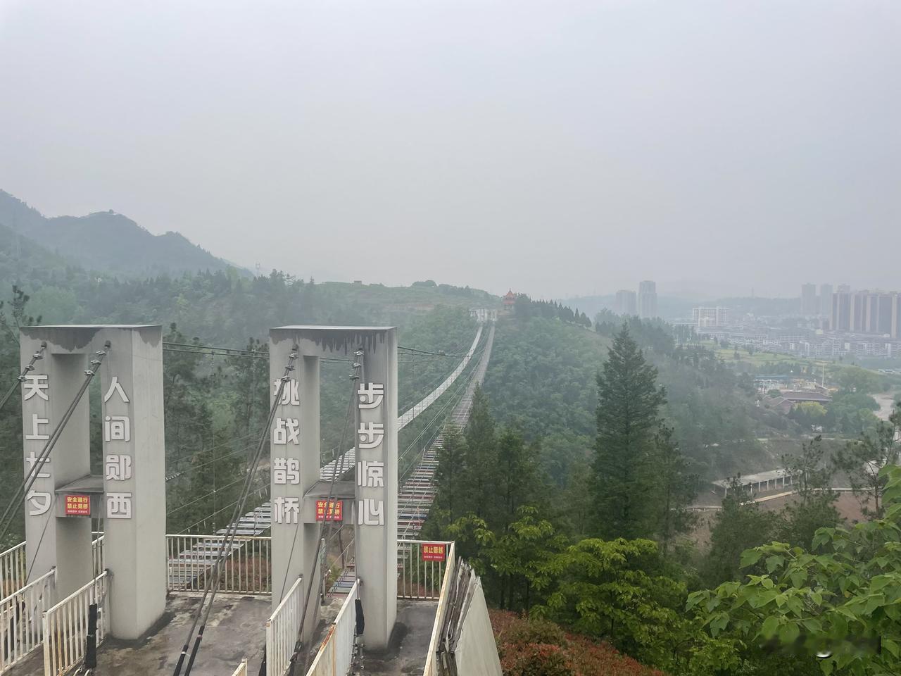 【鹧鸪天•茂密幽林见野花】茂密幽林见野花，清清涧水浣流沙。一只大雁鸣山顶，几