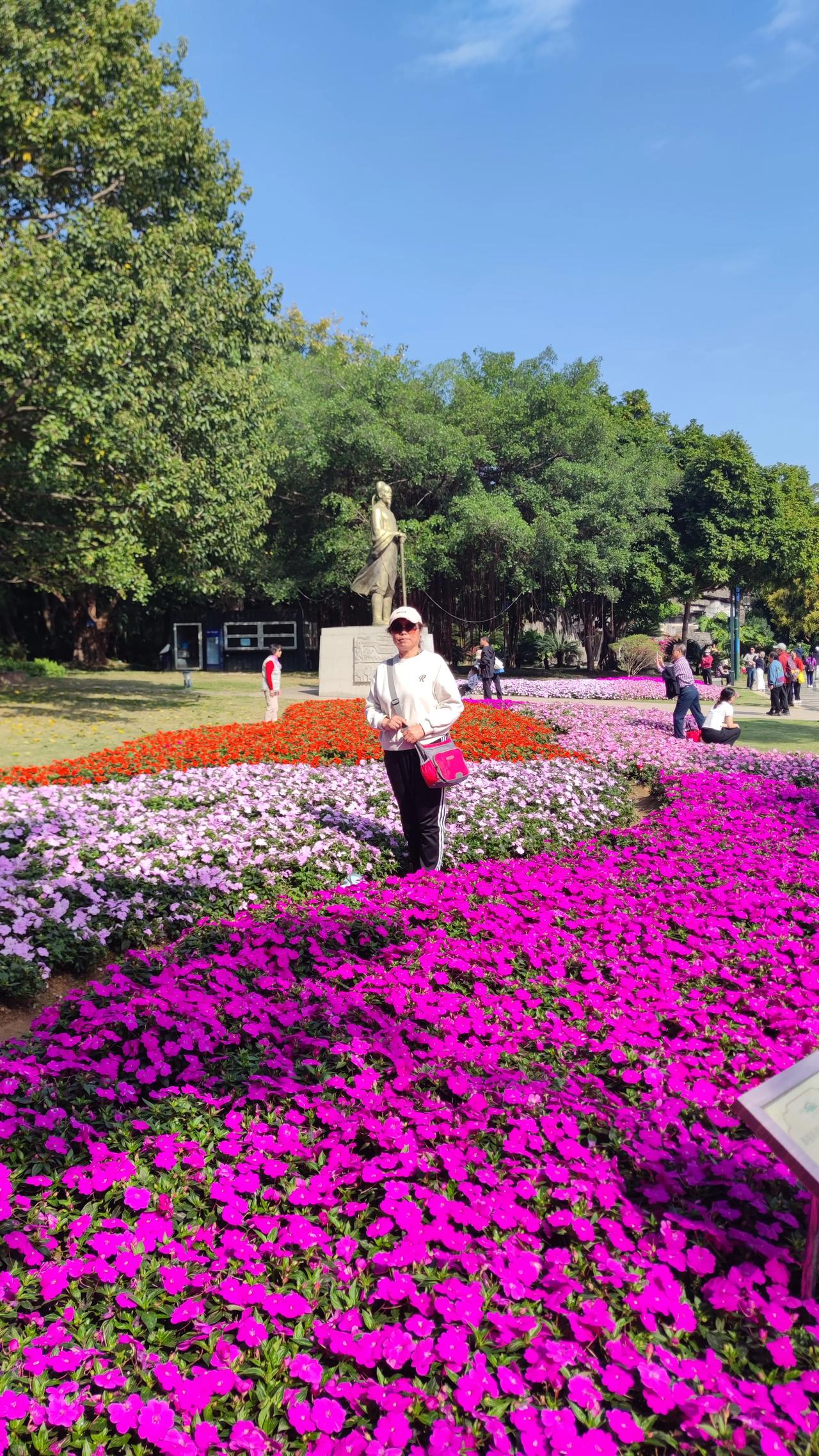 60岁以上的人旅游，选择跟团还是自由行，一直是热门话题。不过，过来人今天在此分享