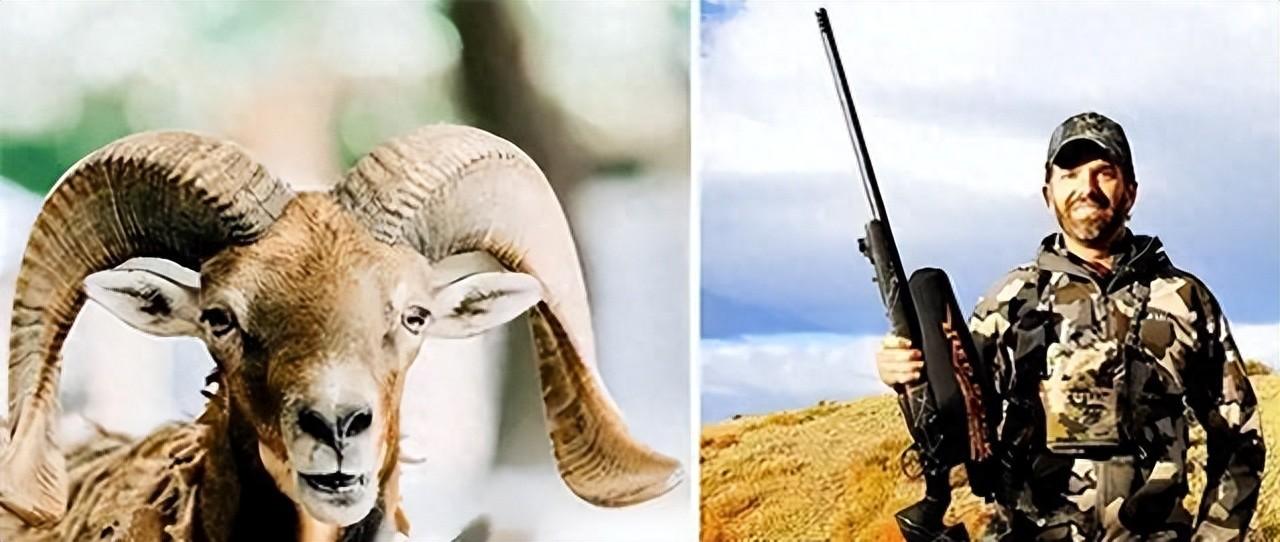 中俄之间的土地，在酝酿一场大戏，一旦剧本开演，中国就必须上场2019年的蒙古