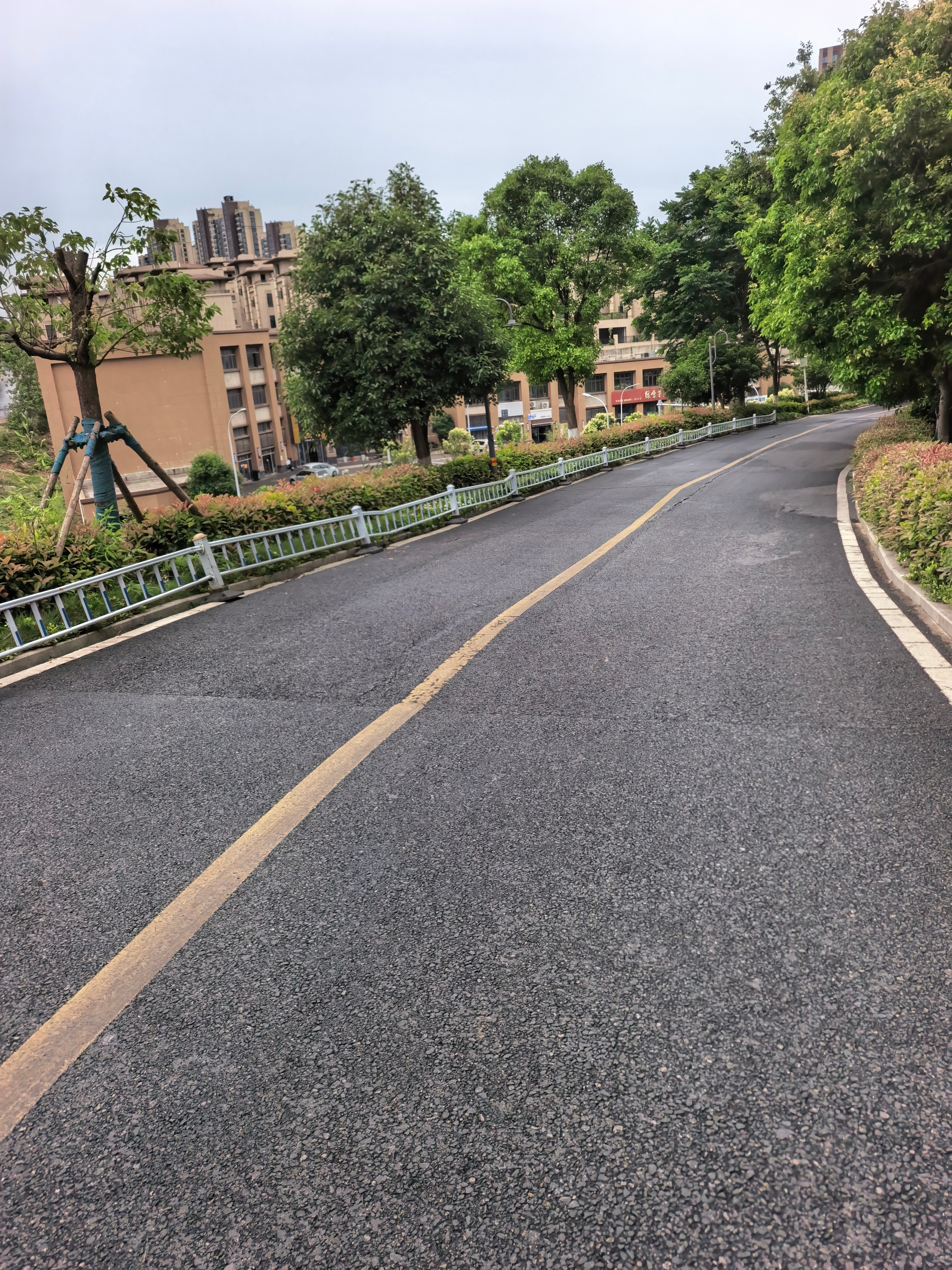 雨过天晴，空气真好！