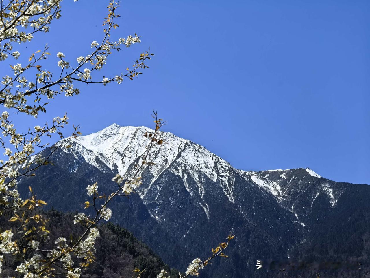 你们相信吗？一个人20岁死掉，30岁死掉，和70岁死掉，80岁死掉，本质