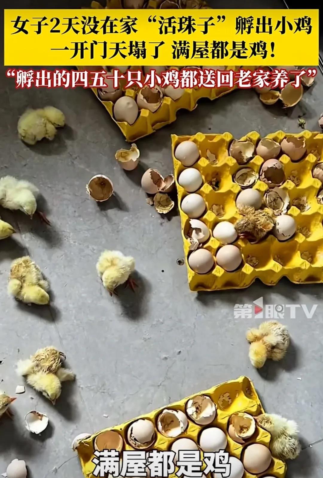 太神奇！近日青岛天气炎热，姜女士全家决定周末出门避暑，休闲放松一下。两天玩的很愉