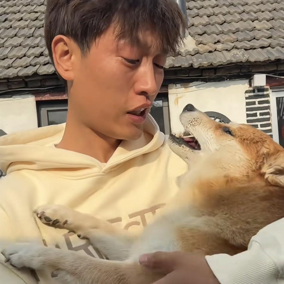 真是怪事大家发现没？小柴佩琪都硬了，主人居然抱着它，还在拍视频。佩琪被带回