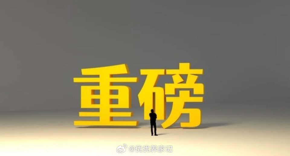 净利最高预增87倍！香农芯创炸裂成绩单，实锤存储超级周期！刚刚，香农芯创发布一季