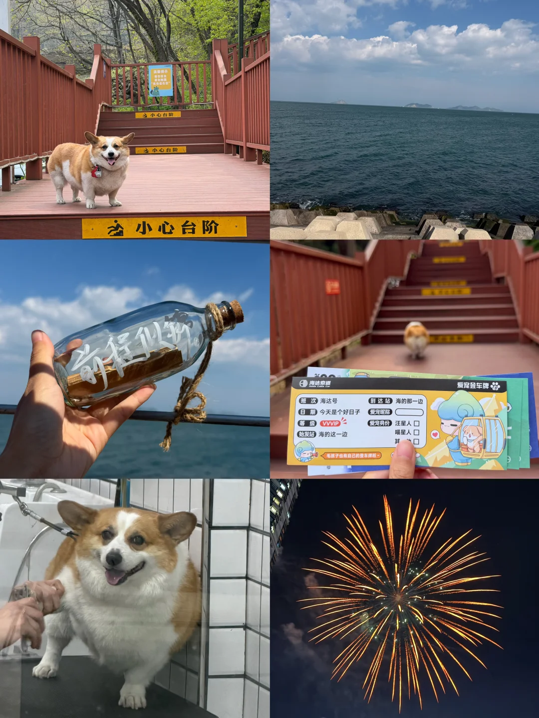 返程  大连八月份再见