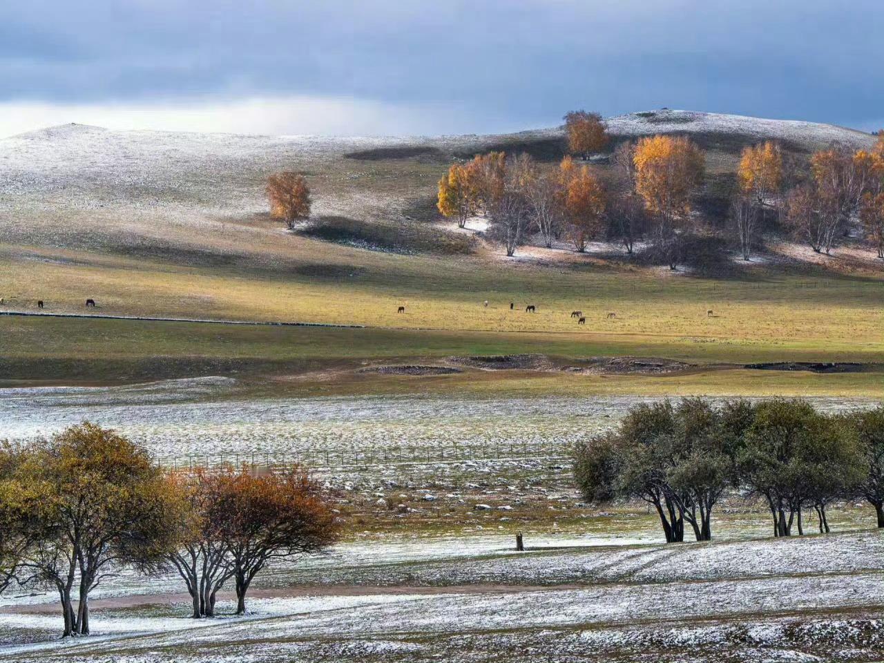 为什么说，人要择善而交，择暖而栖？因为计较里生不出慈悲，争吵里养不出优雅，内耗的