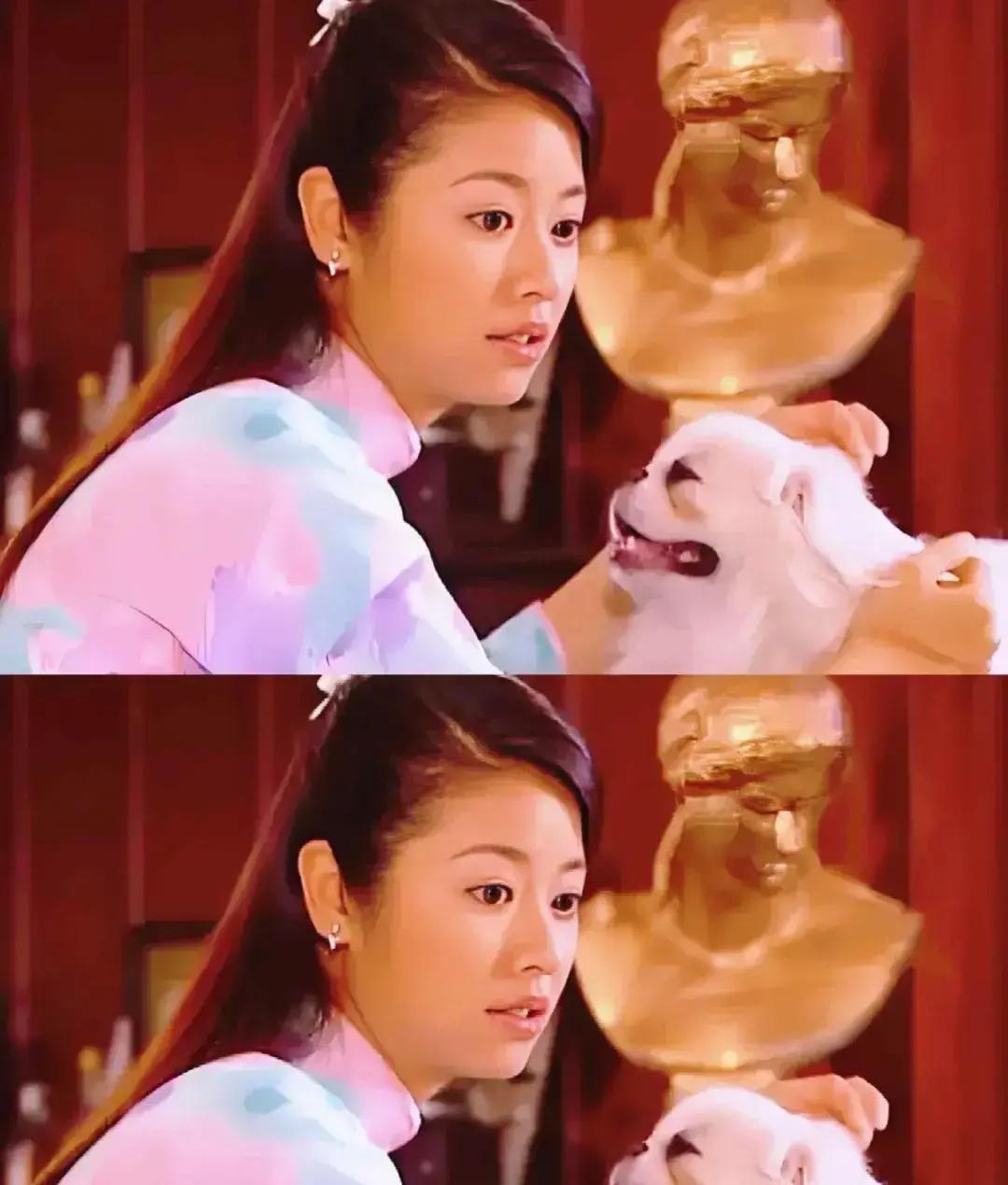 20年后重看《情深深雨濛濛》，我们骂错了人。刺猬般的陆依萍，才是真正活明白的人。