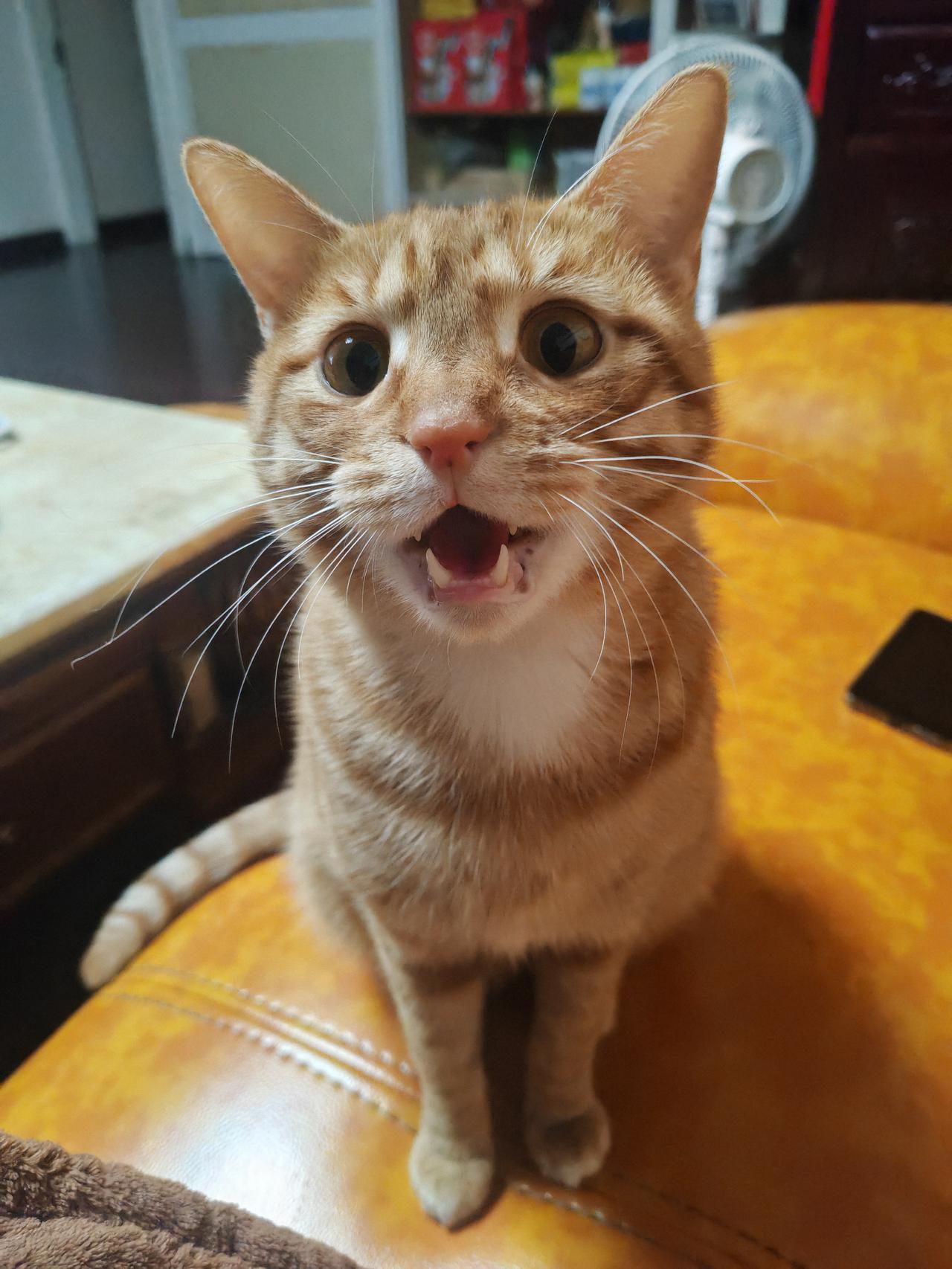 据说世上有九鬼：1、烟鬼🚬2、穷鬼3、赌鬼🎲4、馋鬼[