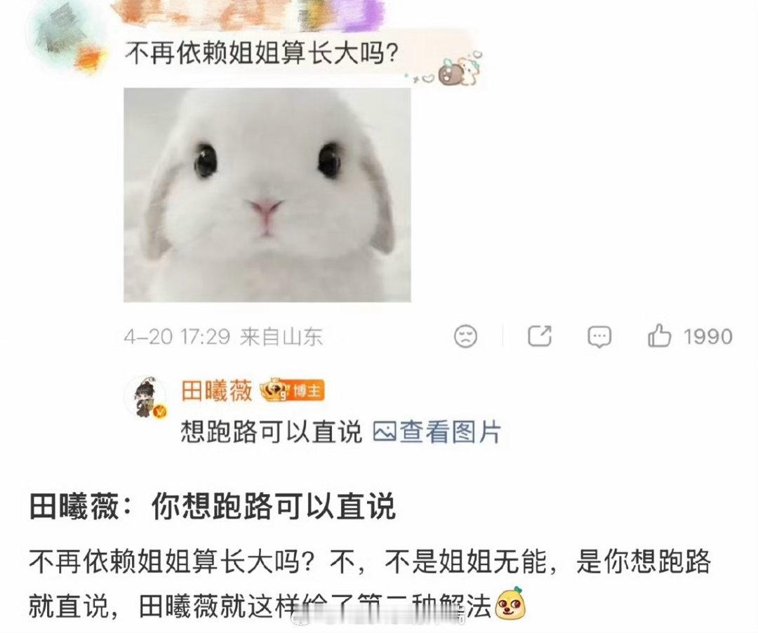 田曦薇想跑路可以直说这是内娱少见的“活人感”、反套路、高情商、又甜又凶的顶级互