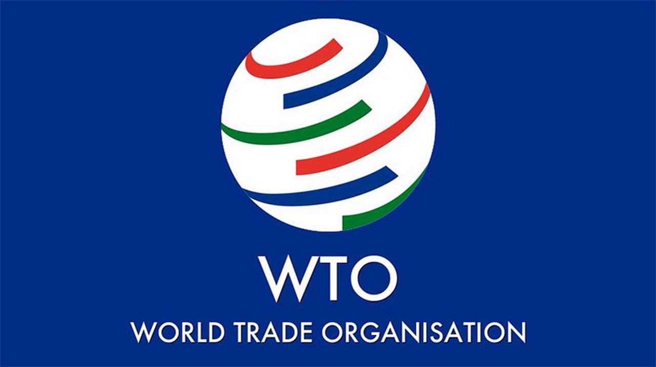 中国WTO立场大调整！不追新待遇≠成发达国家，背后信号不简单商务部近期释放