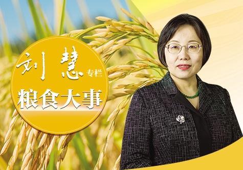 饲料蛋白自主可控的“最后一公里”