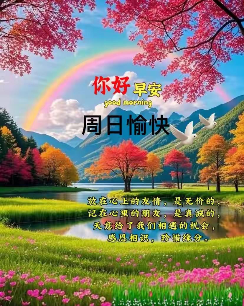 清晨微风轻拂，阳光渐暖，真诚道一声早安。愿新的一天，我们都揣着明朗的好心情，把寻
