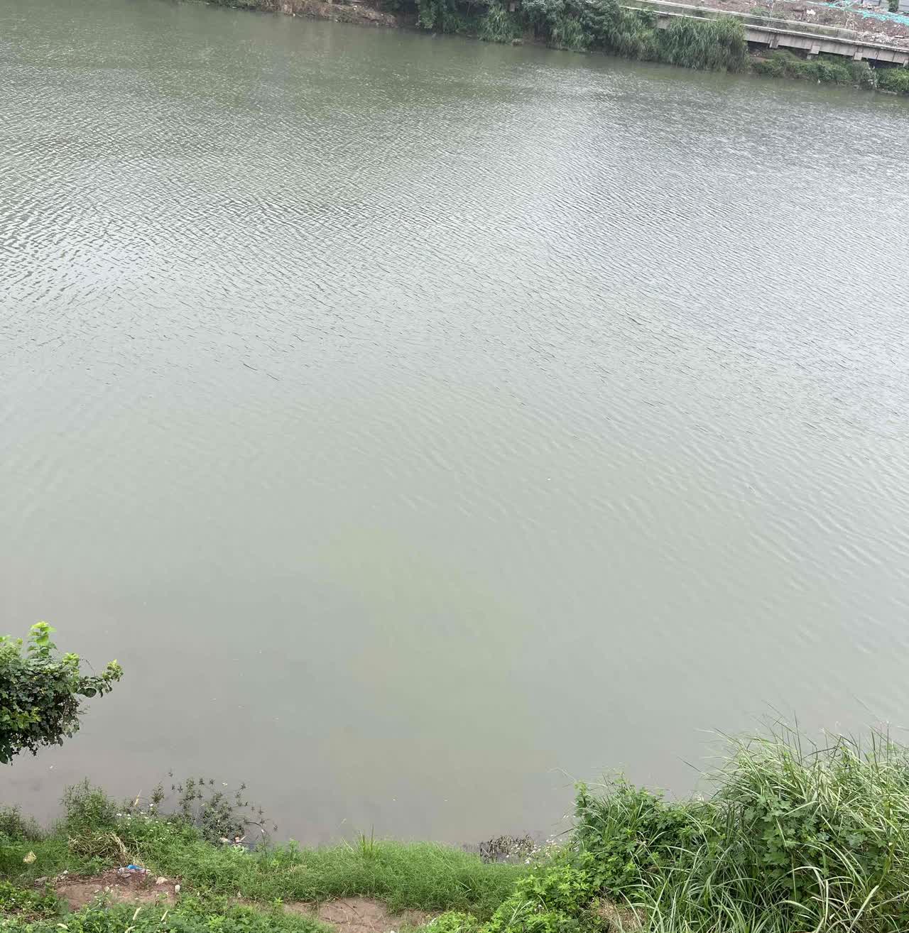 钓鱼把命钓没了，我家小区前面有一条河，禁鱼期过后，钓鱼的人很多，有男的，有女的，
