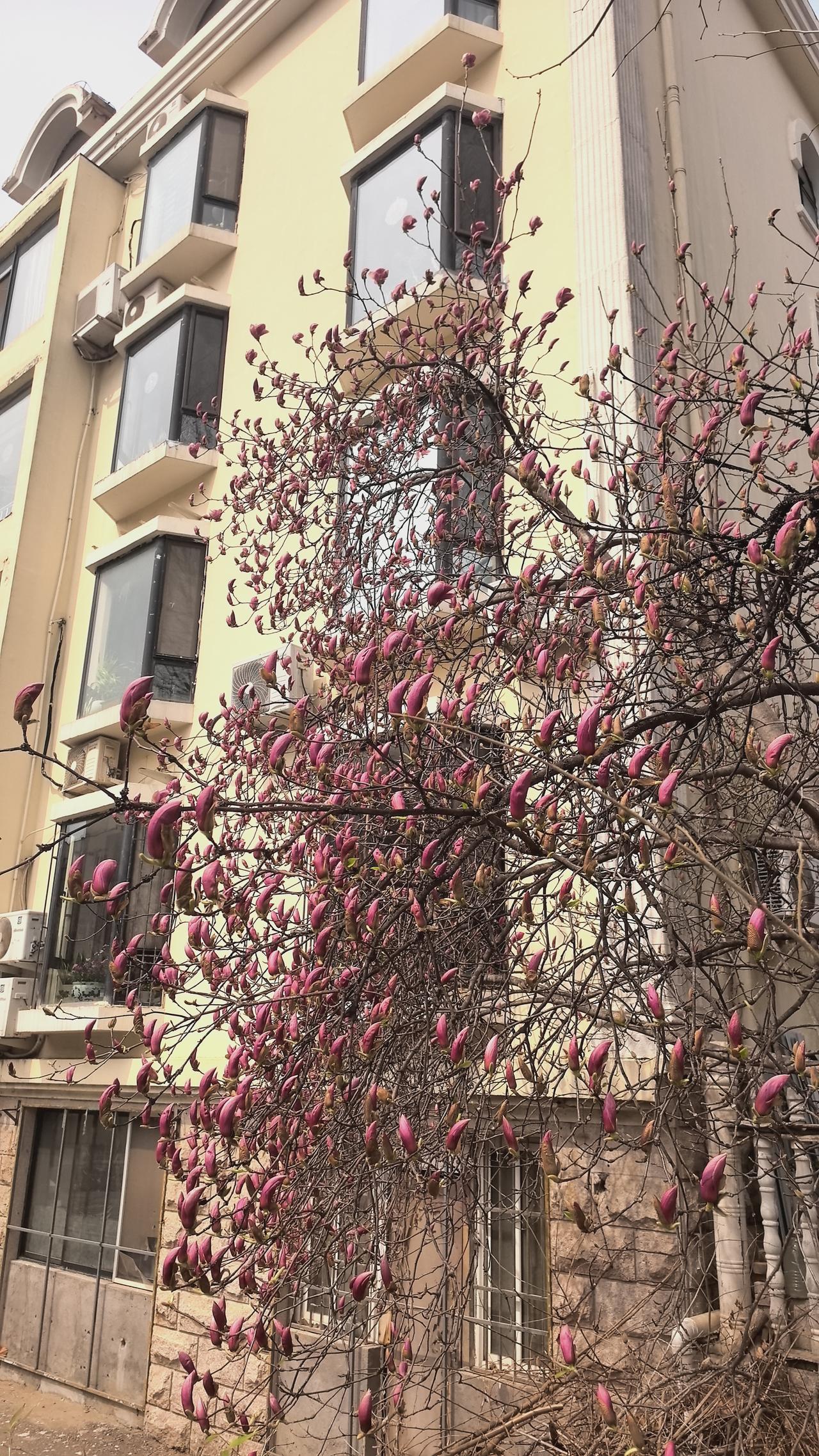 全球最富有城市排名：中国3大城市霸榜第一名：美国纽约第二名：日本东京第三名