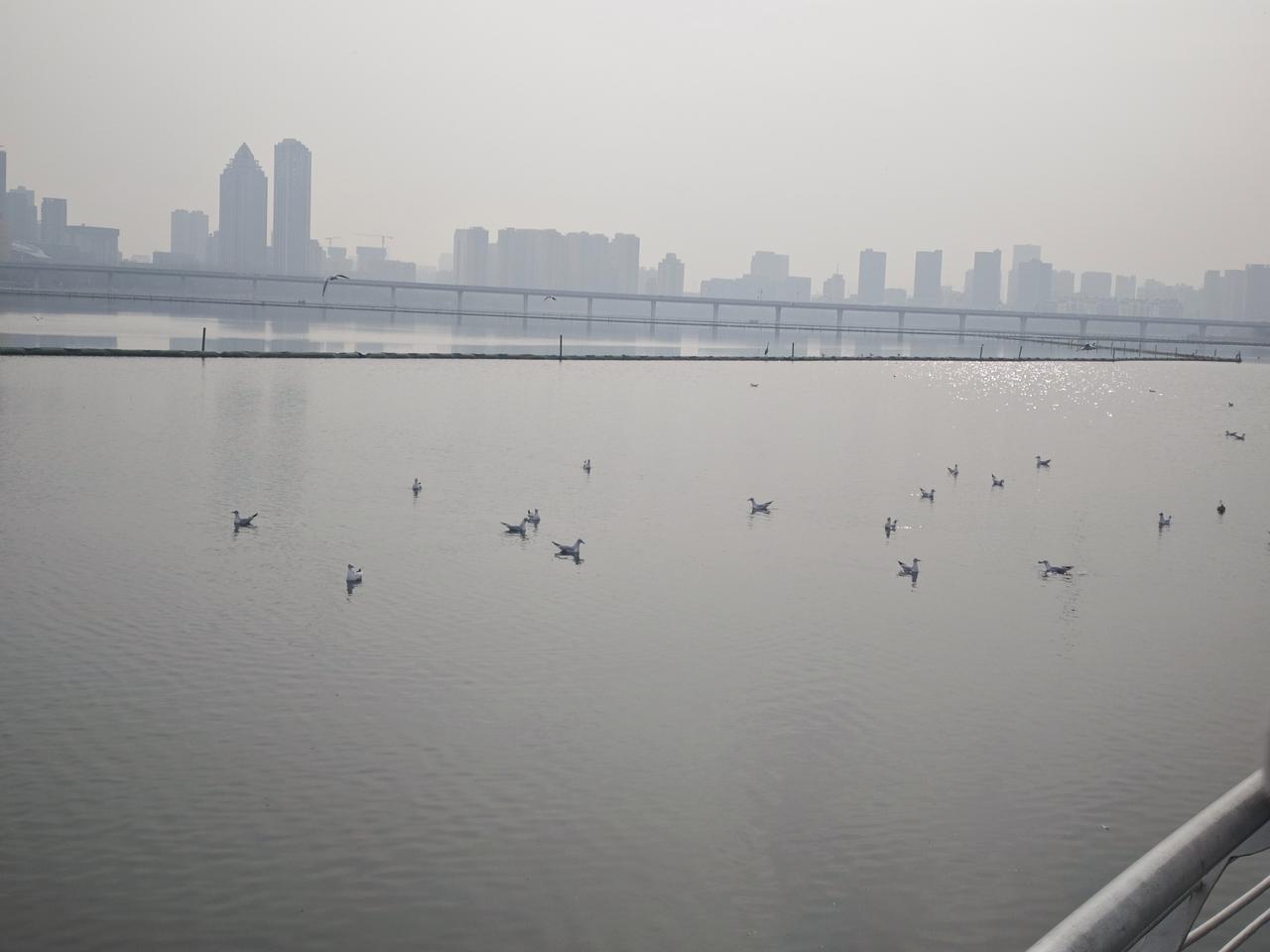 阿里这波操作有点猛啊！听说偷偷挖来了谷歌DeepMind的技术大牛周浩，让他出任